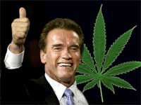 marihuana_schwarzenegger