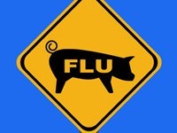 Swine-Flu